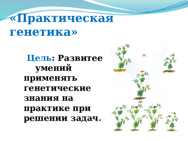 «Практическая генетика»  Цель : Развитее умений применять генетические знания на практике при решении задач. 