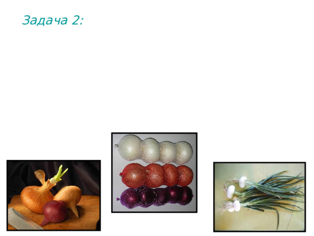 Задача 2: У лука доминантный ген А определяет наличие цвета у луковиц (а – бесцветные луковицы), а ген В (b) окраску луковиц (красный цвет доминирует над желтым). Скрестили между собой растения с красными и желтыми луковицами. В полученном потомстве были растения с бесцветными, красными и  желтыми луковицами. Определите генотипы родительских форм и потомства. 