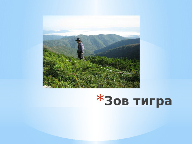 Зов тигра 