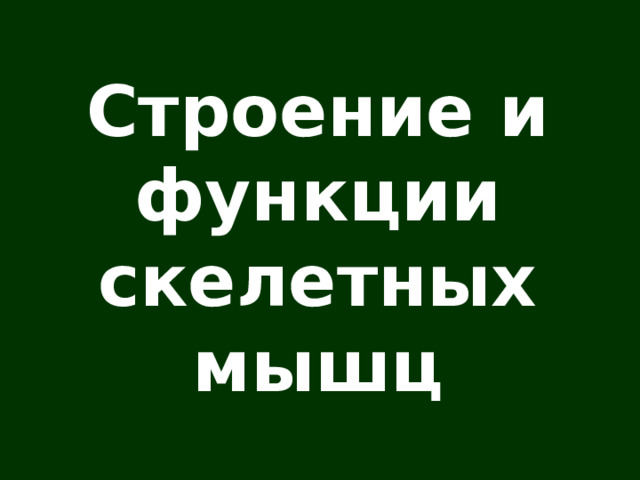 Строение и функции скелетных мышц 