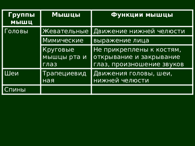 Группы мышц Мышцы Головы Функции мышцы Жевательные Движение нижней челюсти Мимические выражение лица Круговые мышцы рта и глаз Шеи Не прикреплены к костям, открывание и закрывание глаз, произношение звуков Трапециевидная Спины Движения головы, шеи, нижней челюсти 