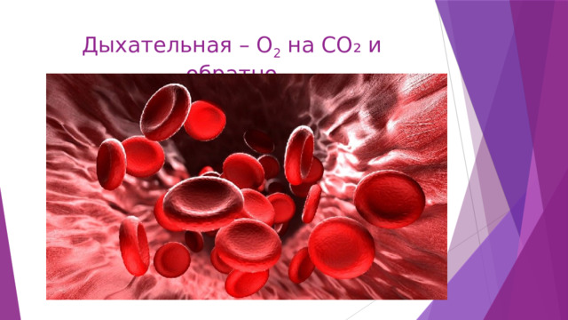 Дыхательная – O 2 на CO₂ и обратно 