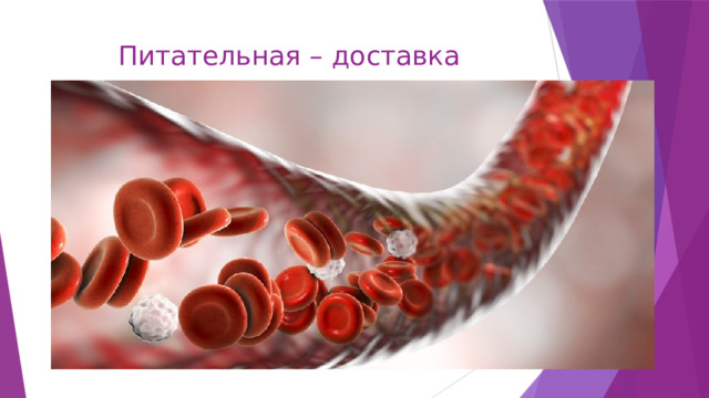 Питательная – доставка 