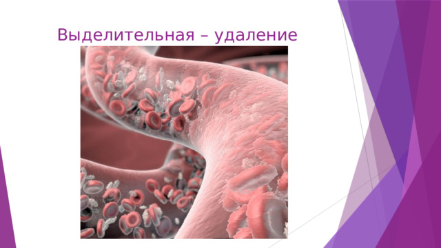 Выделительная – удаление 