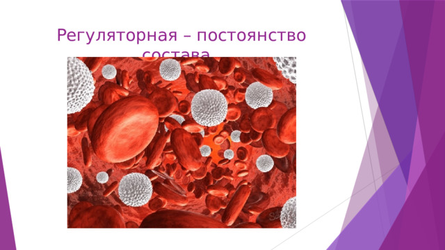 Регуляторная – постоянство состава 