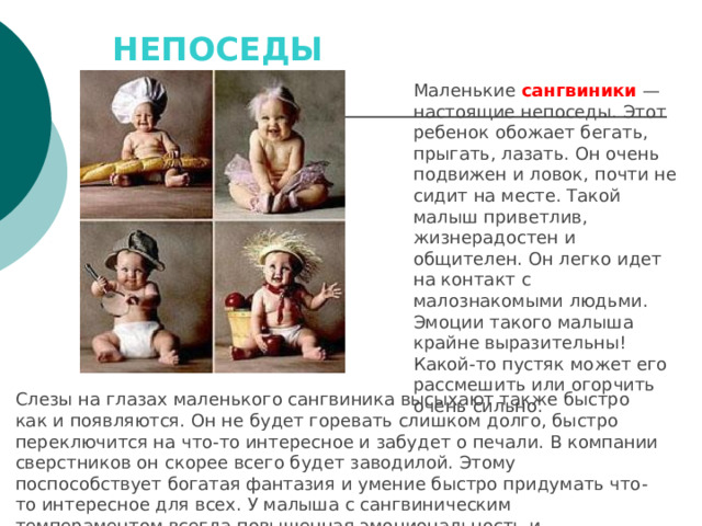 НЕПОСЕДЫ   Маленькие сангвиники  — настоящие непоседы. Этот ребенок обожает бегать, прыгать, лазать. Он очень подвижен и ловок, почти не сидит на месте. Такой малыш приветлив, жизнерадостен и общителен. Он легко идет на контакт с малознакомыми людьми. Эмоции такого малыша крайне выразительны! Какой-то пустяк может его рассмешить или огорчить очень сильно. Слезы на глазах маленького сангвиника высыхают также быстро как и появляются. Он не будет горевать слишком долго, быстро переключится на что-то интересное и забудет о печали. В компании сверстников он скорее всего будет заводилой. Этому поспособствует богатая фантазия и умение быстро придумать что-то интересное для всех. У малыша с сангвиническим темпераментом всегда повышенная эмоциональность и впечатлительность. 
