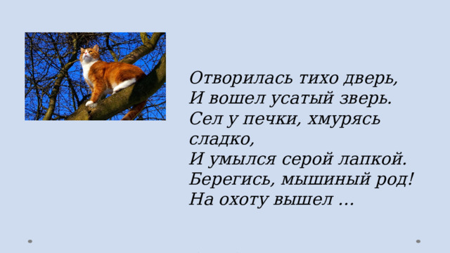 Отворилась тихо дверь,   И вошел усатый зверь.   Сел у печки, хмурясь сладко,   И умылся серой лапкой.   Берегись, мышиный род!   На охоту вышел …    (Кот)  