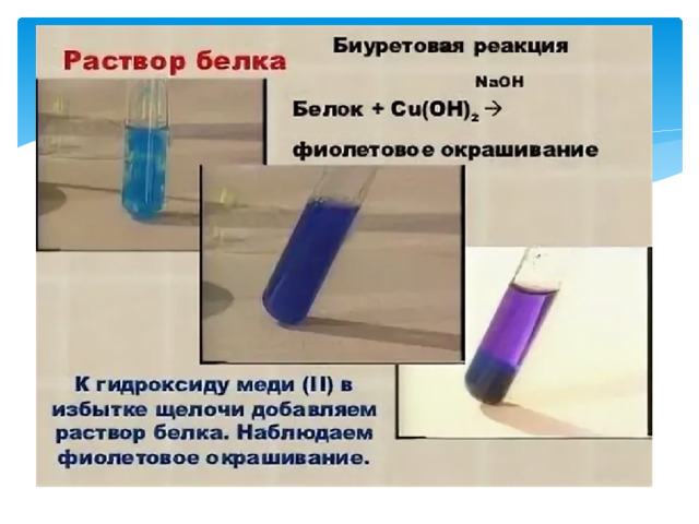 Схема образования биурета из яичного белка