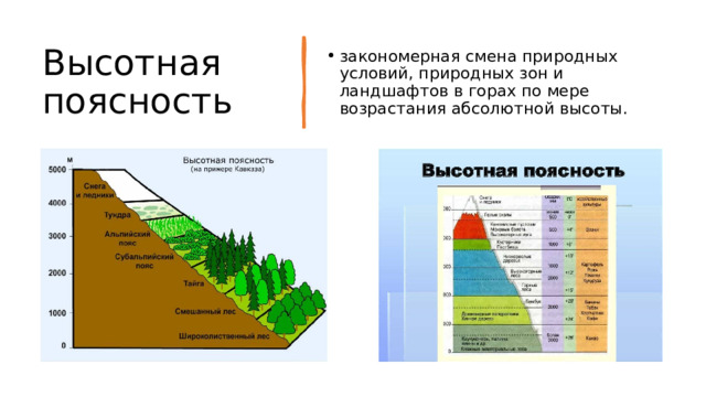 География. Природные зоны России без ВЫСОТНОЙ поясности. Ландшафт формула география.