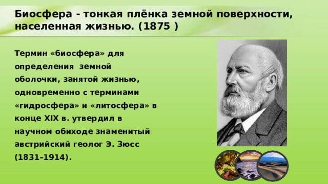 Биосфера глобальная экосистема учение вернадского