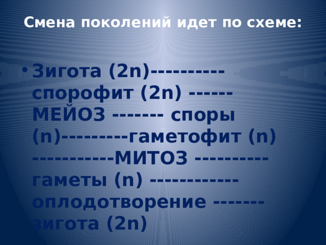 Смена поколений идет по схеме:   Зигота (2n)----------спорофит (2n) ------ МЕЙОЗ ------- споры (n)---------гаметофит (n) -----------МИТОЗ ---------- гаметы (n) ------------оплодотворение ------- зигота (2n) 