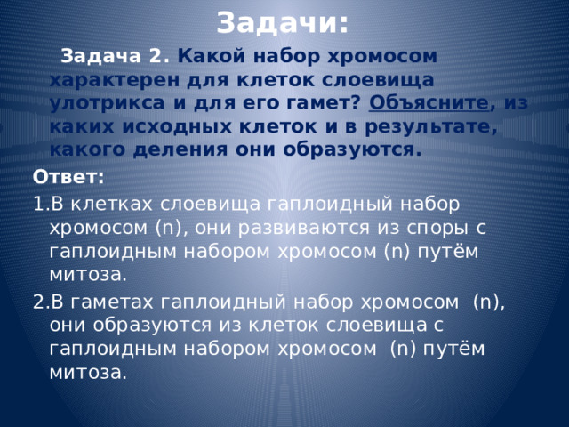 Задачи:  Задача 2. Какой набор хромосом характерен для клеток слоевища улотрикса и для его гамет? Объясните , из каких исходных клеток и в результате, какого деления они образуются. Ответ: 1.В клетках слоевища гаплоидный набор хромосом (n), они развиваются из споры с гаплоидным набором хромосом (n) путём митоза. 2.В гаметах гаплоидный набор хромосом (n), они образуются из клеток слоевища с гаплоидным набором хромосом (n) путём митоза.  