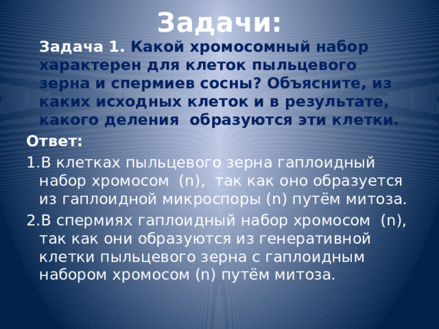 Задачи:  Задача 1. Какой хромосомный набор характерен для клеток пыльцевого зерна и спермиев сосны? Объясните, из каких исходных клеток и в результате, какого деления образуются эти клетки. Ответ: 1.В клетках пыльцевого зерна гаплоидный набор хромосом (n), так как оно образуется из гаплоидной микроспоры (n) путём митоза. 2.В спермиях гаплоидный набор хромосом (n), так как они образуются из генеративной клетки пыльцевого зерна с гаплоидным набором хромосом (n) путём митоза. 