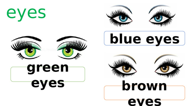 eyes blue eyes green eyes brown eyes 
