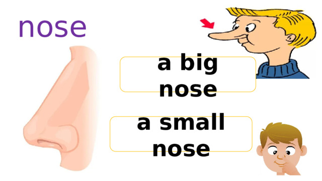 nose a big nose a small nose 