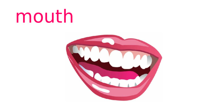 mouth 