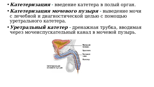 Катетеризация   введение катетера в полый орган. Катетеризация мочевого пузыря  выведение мочи с лечебной и диагностической целью с помощью уретрального катетера. Уретральный катетер  дренажная трубка, вводимая через мочеиспускательный канал в мочевой пузырь. 