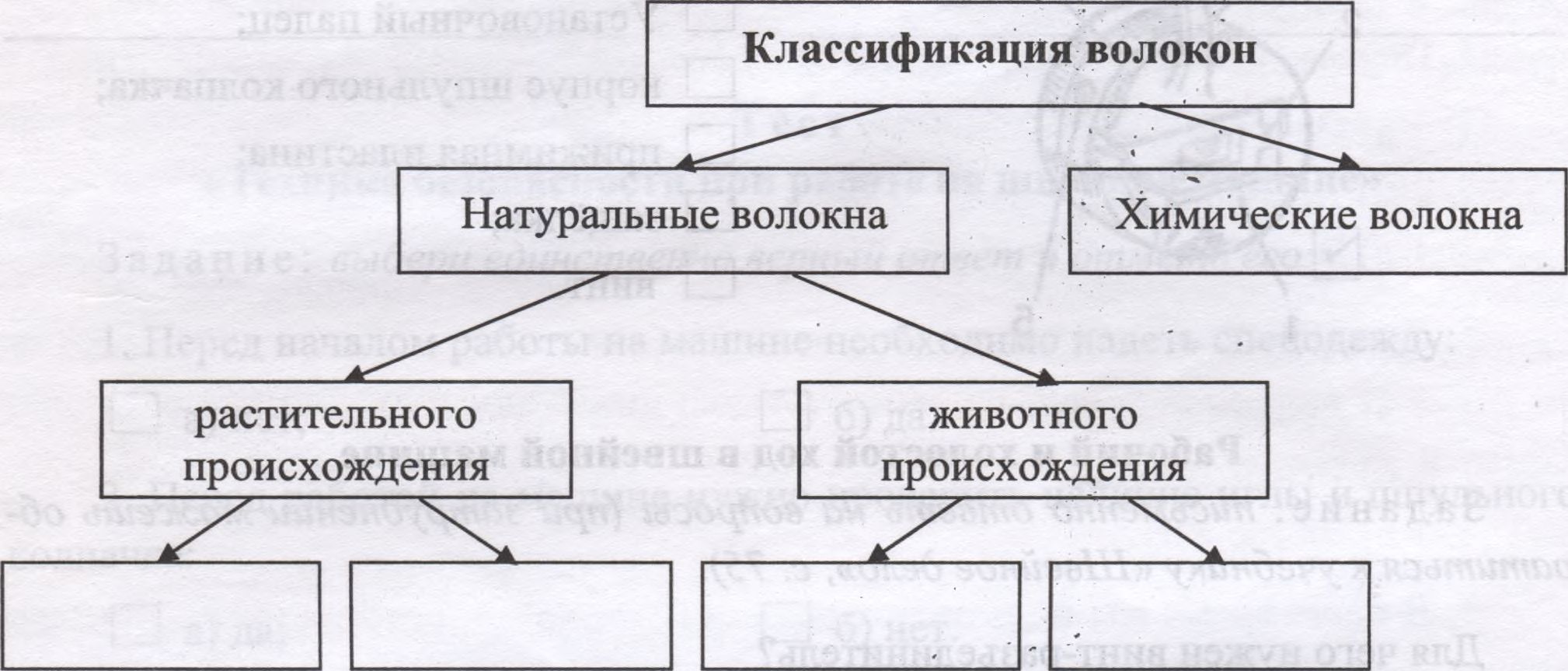 КИМ 5-6 классы по технологии 