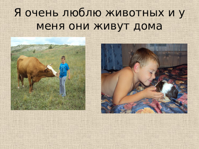 Я очень люблю животных и у меня они живут дома 