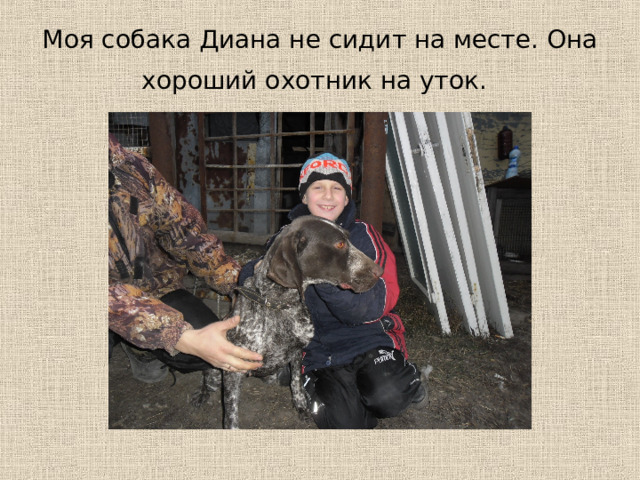 Моя собака Диана не сидит на месте. Она хороший охотник на уток.  