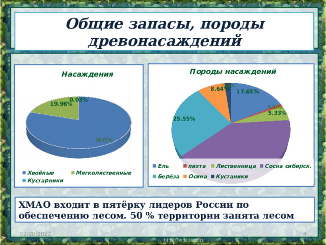 Общие запасы, породы древонасаждений ХМАО входит в пятёрку лидеров России по обеспечению лесом. 50 % территории занята лесом  02/28/2023 