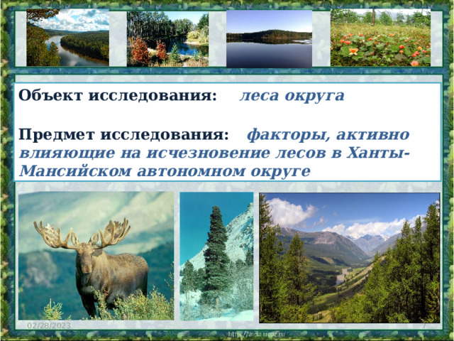 Объект исследования: леса округа  Предмет исследования: факторы, активно влияющие на исчезновение лесов в Ханты-Мансийском автономном округе 02/28/2023  