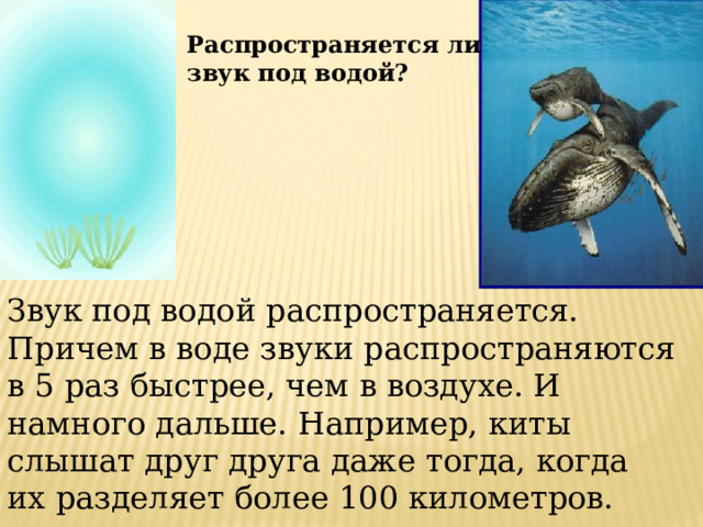 Распространяется ли звук под водой? Звук под водой распространяется. Причем в воде звуки распространяются в 5 раз быстрее, чем в воздухе. И намного дальше. Например, киты слышат друг друга даже тогда, когда их разделяет более 100 километров. 