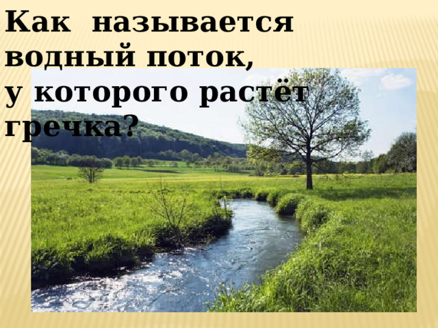 Как называется водный поток, у которого растёт гречка? 