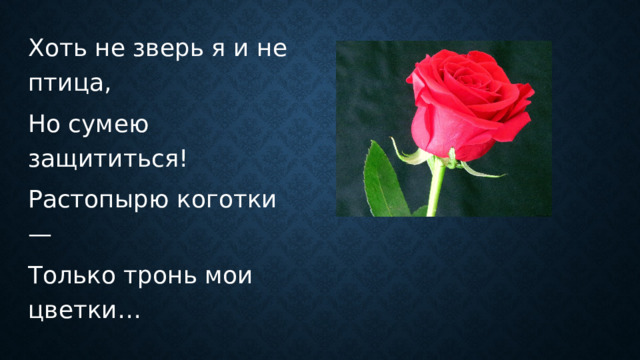 Хоть не зверь я и не птица, Но сумею защититься! Растопырю коготки — Только тронь мои цветки… 