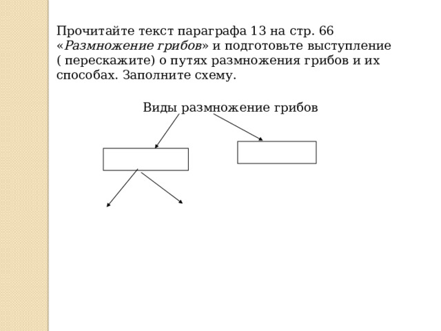 Изучив текст параграфа и рисунок 52 заполните схему