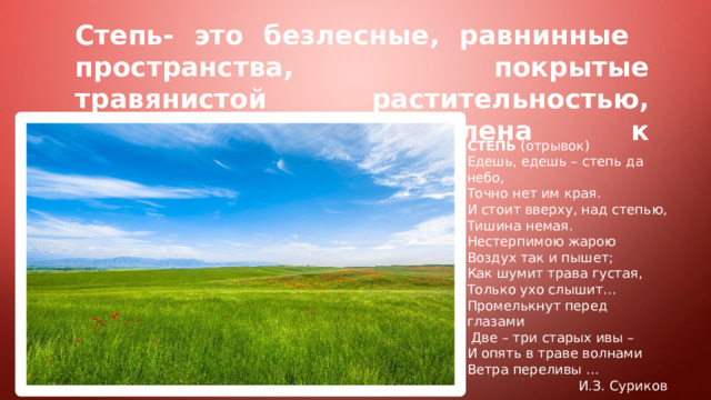 Бескрайней равнине или бескрайной как правильно. Равнинные пространства. Степи обширные равнинные пространства. Бескрайняя равнина покрытая травянистой растительностью. Едешь едешь степь да небо.