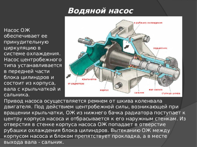 Водяной насос Насос ОЖ обеспечивает ее принудительную циркуляцию в системе охлаждения. Насос центробежного типа устанавливается в передней части блока цилиндров и состоит из корпуса, вала с крыльчаткой и сальника. Привод насоса осуществляется ремнем от шкива коленвала двигателя. Под действием центробежной силы, возникающей при вращении крыльчатки, ОЖ из нижнего бачка радиатора поступает к центру корпуса насоса и отбрасывается к его наружным стенкам. Из отверстия в стенке корпуса насоса ОЖ попадает в отверстие рубашки охлаждения блока цилиндров. Вытеканию ОЖ между корпусом насоса и блоком препятствует прокладка, а в месте выхода вала - сальник. 