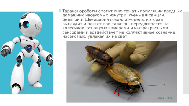 Тараканороботы смогут уничтожать популяции вредных домашних насекомых изнутри. Ученые Франции, Бельгии и Швейцарии создали модель, которая выглядит и пахнет как таракан, передвигается на колесиках, оснащена камерами и инфракрасными сенсорами и воздействует на коллективное сознание насекомых, увлекая их на свет. 