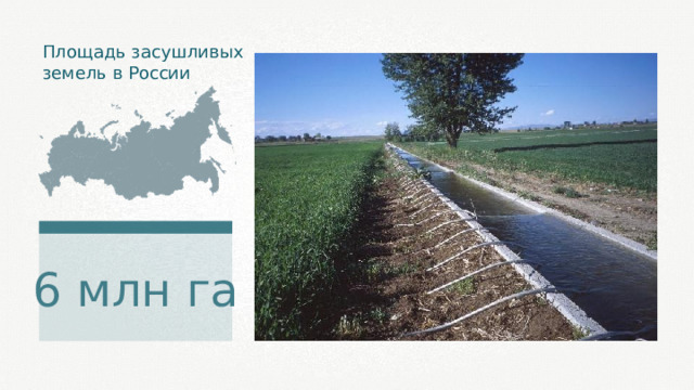 Площадь засушливых земель в России 6 млн га 