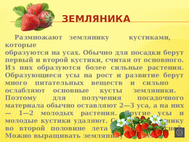 Плодово ягодные розоцветные вишня 7 класс 8 вида презентация