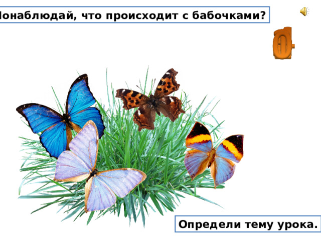 Понаблюдай, что происходит с бабочками? Определи тему урока. 