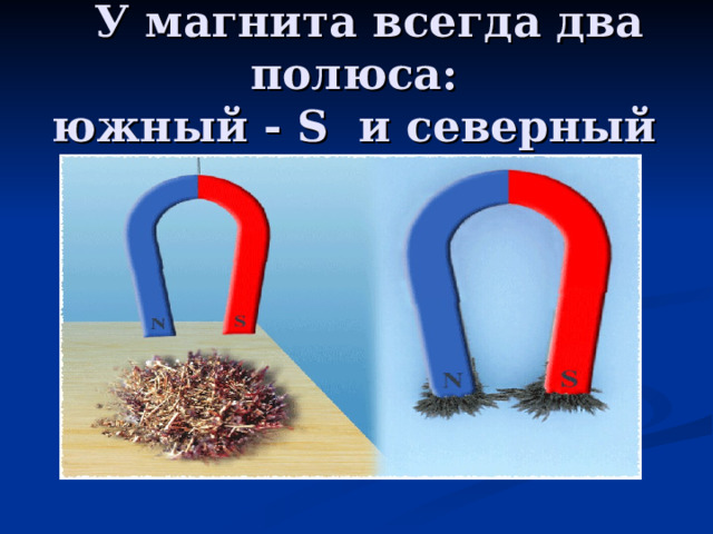 У магнита всегда два полюса:  южный - S и северный - N. 