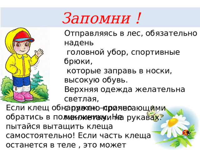 Если заправить брюки в носки то люди не будут много от вас требовать картинки