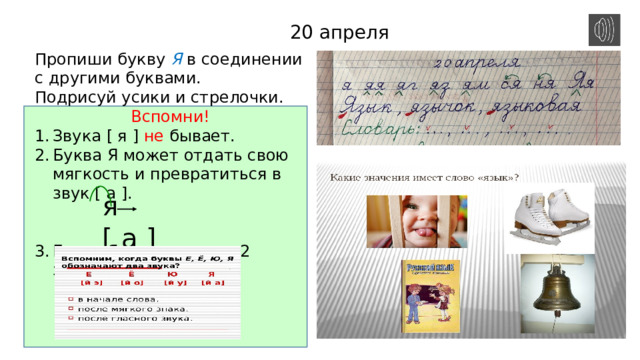 20 апреля Пропиши букву Я в соединении с другими буквами. Подрисуй усики и стрелочки. Вспомни! Звука [ я ] не бывает. Буква Я может отдать свою мягкость и превратиться в звук [ а ]. Буква Я может иметь 2 звука. Запиши слова ЯЗЫК, ЯЗЫЧОК, ЯЗЫКОВАЯ . Подрисуй им язычок. Запомни как пишется слово язык. Слово ЯЗЫК – омоним. Это слово имеет несколько значений. Подумай, какие значения есть у слова ЯЗЫК! я [ а ] 