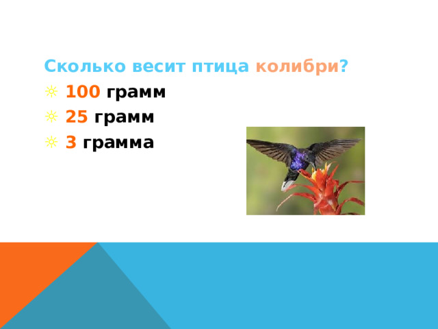 Сколько весит птица колибри ? ☼  100 грамм ☼  25 грамм ☼  3 грамма 