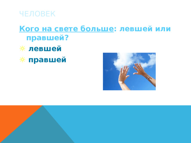 ЧЕЛОВЕК Кого на свете больше : левшей или правшей? ☼  левшей ☼  правшей 