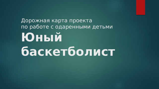 Дорожная карта проекта  по работе с одаренными детьми  Юный баскетболист 