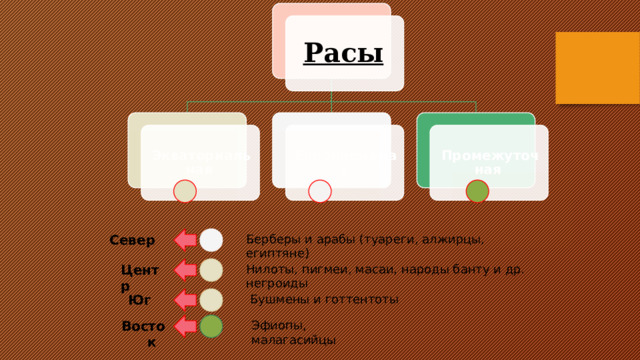 Расы  Промежуточная Экваториальная Европеоидная Север Берберы и арабы (туареги, алжирцы, египтяне) Кликните по стрелке появится ГП места проживания народов Африки, щелчок по карте – увеличенная карта, щелчок по карте – её исчезновение, переход к следующим слайдам по щелчку на скругленные прямоугольники Нилоты, пигмеи, масаи, народы банту и др. негроиды Центр Бушмены и готтентоты Юг Эфиопы, малагасийцы Восток 10 