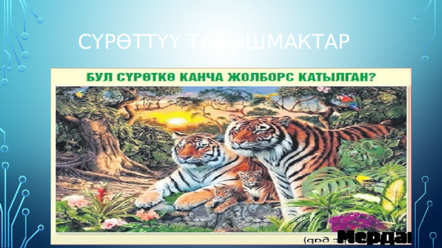  Сүрөттүү табышмактар 