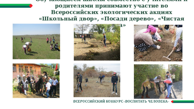 Обучающиеся школы совместно с учителями и родителями принимают участие во Всероссийских экологических акциях «Школьный двор», «Посади дерево», «Чистая планета» 