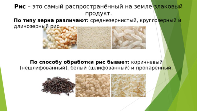 Рис  – это самый распространённый на земле злаковый продукт. По типу зерна различают:  среднезернистый, круглозерный и длинозерный рис. По способу обработки рис бывает:  коричневый (нешлифованный), белый (шлифованный) и пропаренный. 