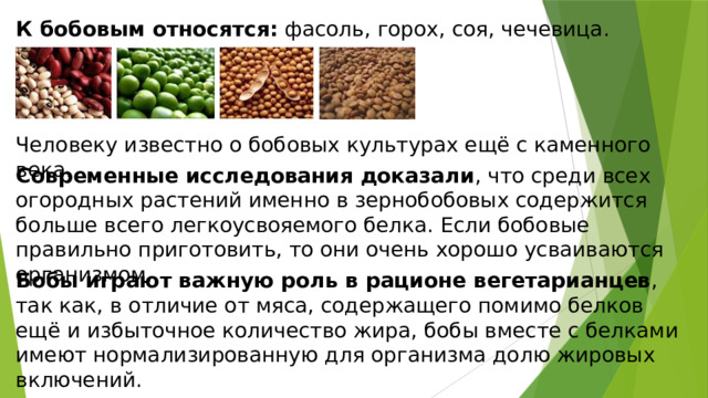 К бобовым относятся:  фасоль, горох, соя, чечевица. Человеку известно о бобовых культурах ещё с каменного века. Современные исследования доказали , что среди всех огородных растений именно в зернобобовых содержится больше всего легкоусвояемого белка. Если бобовые правильно приготовить, то они очень хорошо усваиваются организмом. Бобы играют важную роль в рационе вегетарианцев , так как, в отличие от мяса, содержащего помимо белков ещё и избыточное количество жира, бобы вместе с белками имеют нормализированную для организма долю жировых включений. 