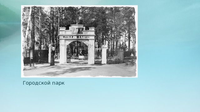 Городской парк 