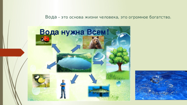 Заголовок вода. Вода основа жизни человека. Вода основа жизни человека. Вода основа жизни на земле. Вода основа жизни картинки.