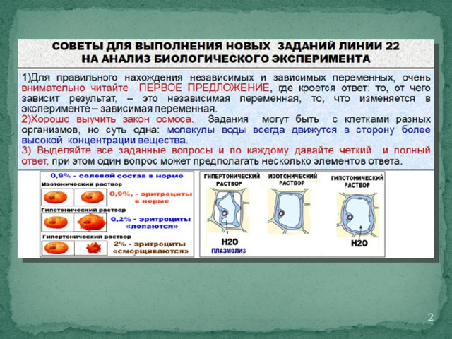 Пробники егэ 2023